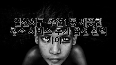 일산서구 주엽1동 깨끗한 청소 서비스 추가 옵션 완벽 가이드