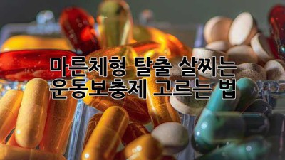 마른체형 탈출💪 살찌는 운동보충제 고르는 법