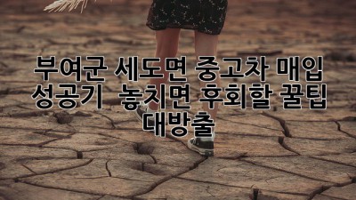 부여군 세도면 중고차 매입 성공기! 🚗💨 놓치면 후회할 꿀팁 대방출!
